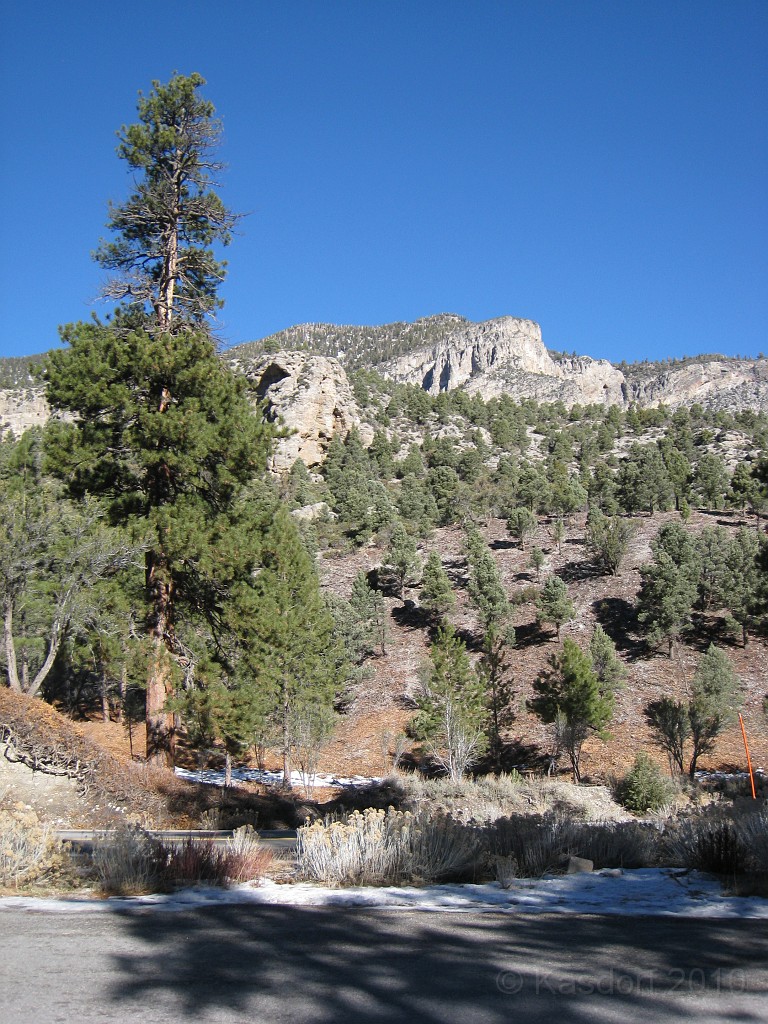 Las Vegas 2010 - Mt Charleston 0091.JPG - The 2010 Las Vegas Fire - Ice and Sweat Tour. Half Marathon, Red Rock Canyon, Casinos, Valley of Fire.... and buffets!